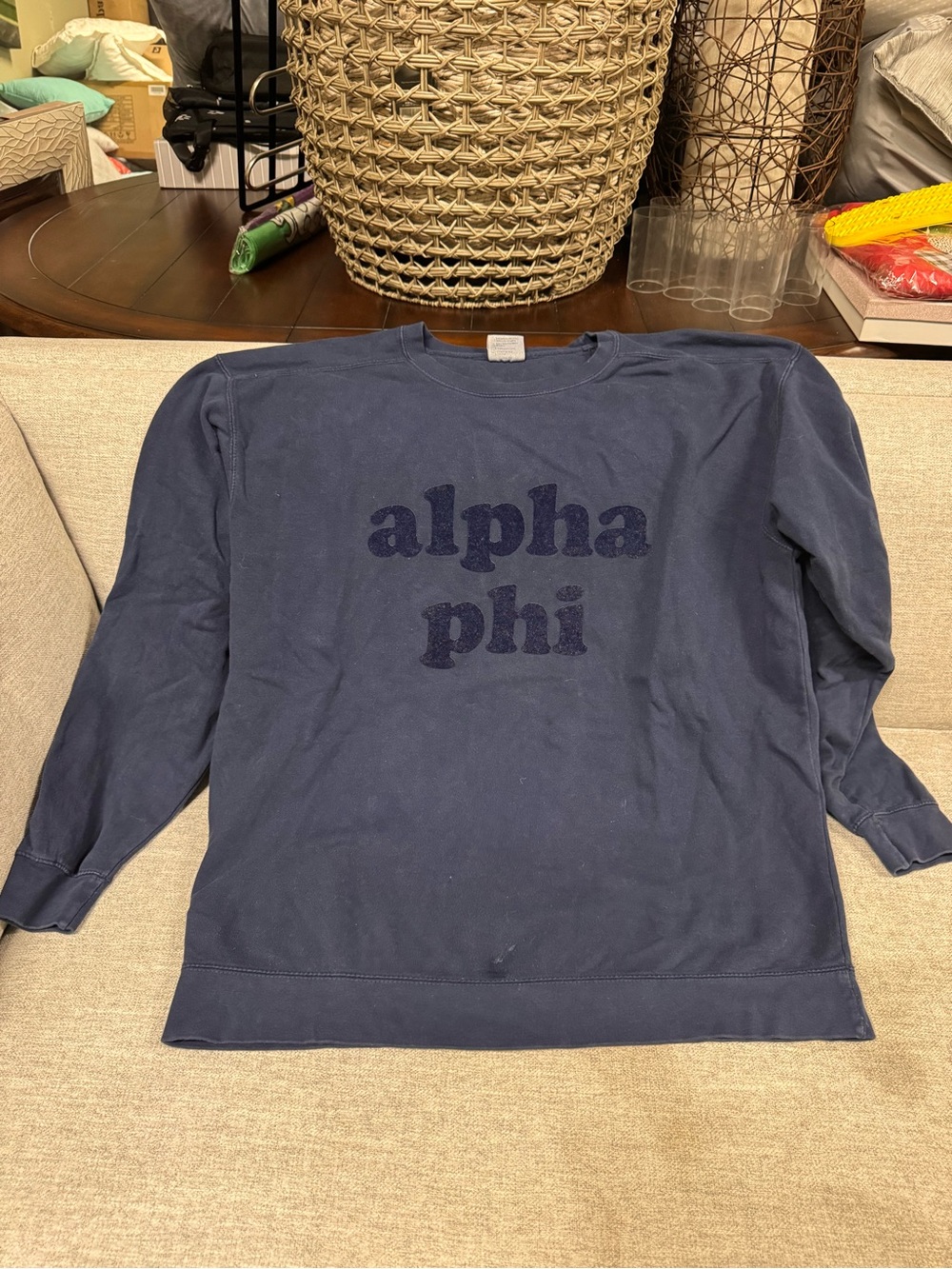 Alpha Phi Navy Crewneck Sweatshirt - Collegiate Pullover